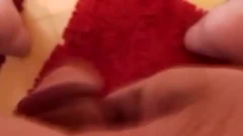 BookWriter online show from 01/25/25, 07:49