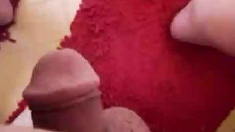 BookWriter online show from 01/27/25, 06:41