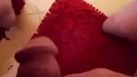 BookWriter online show from 02/01/25, 07:15