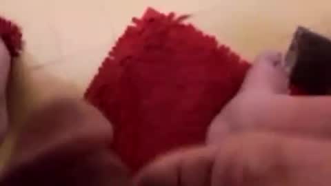 BookWriter online show from 02/12/25, 07:02