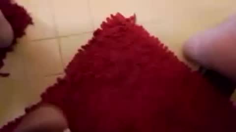 BookWriter online show from 02/15/25, 07:38