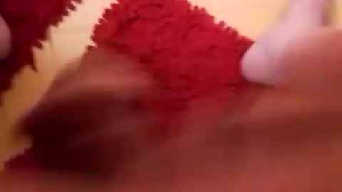 BookWriter online show from 02/16/25, 07:48