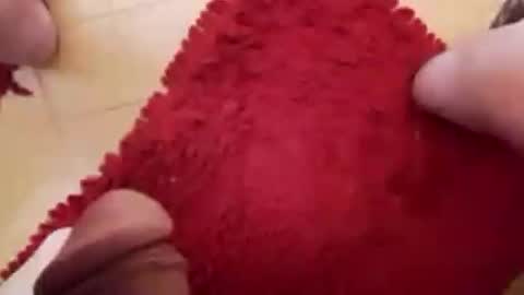 BookWriter online show from 02/23/25, 06:49