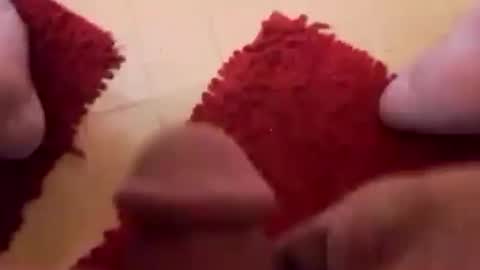 BookWriter online show from 02/24/25, 06:38