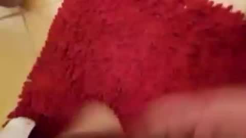 BookWriter online show from 09/14/25, 04:55