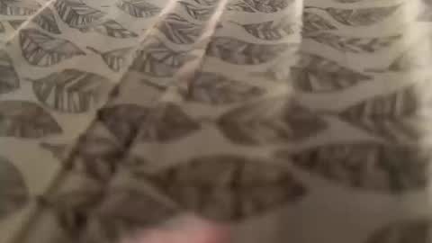 Snapshot of newby101 chatting on 10/12/25, 08:57 Meow Meow online show from 10/12/25, 08:57