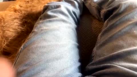 newjerseyhorny online show from 12/15/24, 07:10