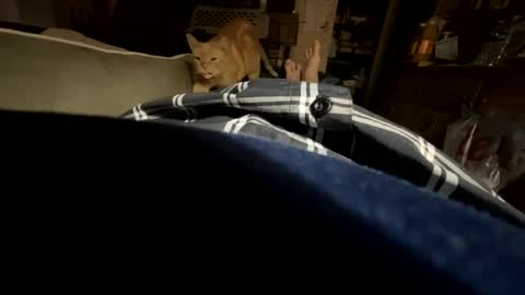 Snapshot of ngianop chatting on 10/23/25, 07:40 ngianop online show from 10/23/25, 07:40