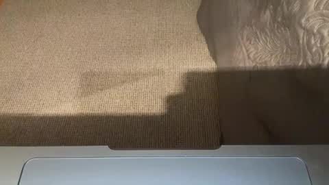 Nice Gentle Naughty online show from 07/28/26, 01:45