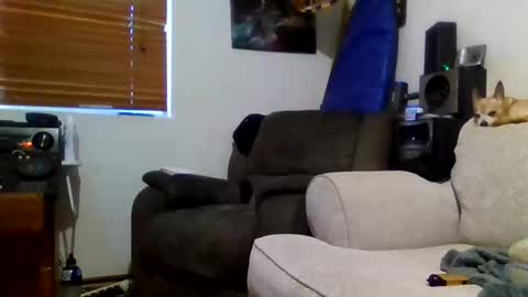 Sexiishaine online show from 02/20/26, 07:21