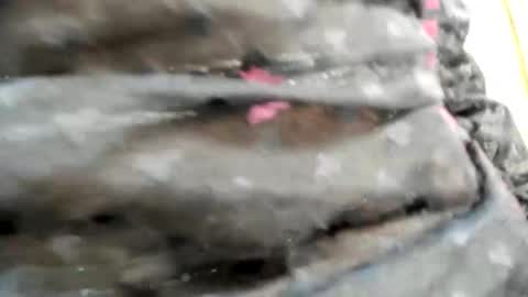 Bianca online show from 10/26/25, 09:31