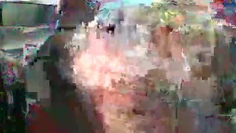 nick stavrou online show from 02/16/26, 04:41