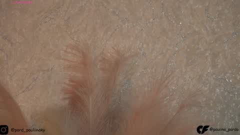 Snapshot of nichole__evans chatting on 12/16/24, 05:33 nichole__evans online show from 12/16/24, 05:33