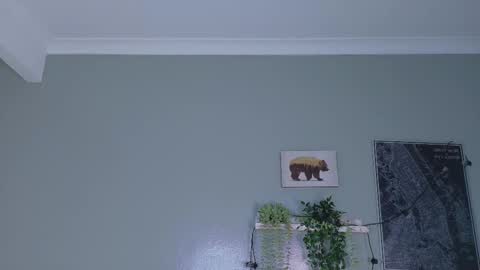 NICKI FOX  online show from 01/15/26, 10:35