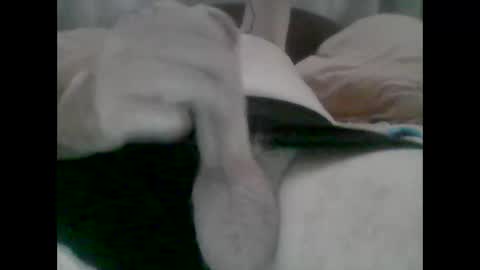 TheCock online show from 10/31/25, 05:19