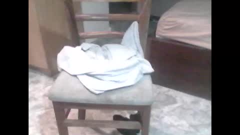 TheCock online show from 02/07/26, 11:58