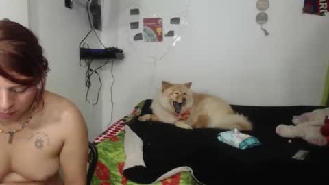 Snapshot of nickyandcam chatting on 04/11/26, 12:48 Nickyandcam online show from 04/11/26, 12:48
