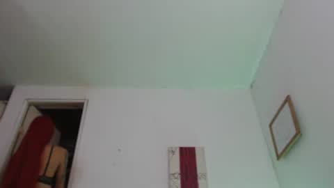 Snapshot of nico_hoot chatting on 12/12/24, 01:06 sammy hoot online show from 12/12/24, 01:06