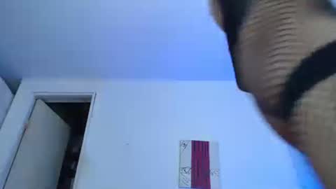 Snapshot of nico_hoot chatting on 12/29/24, 02:17 sammy hoot online show from 12/29/24, 02:17