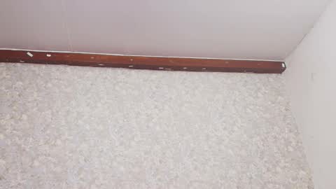 Nicol online show from 03/03/25, 07:17