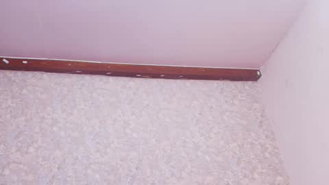 Nicol online show from 03/10/25, 07:50