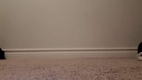 nicoleandbrian online show from 12/31/24, 09:06