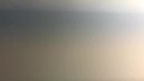 Nicoll  Independent model online show from 12/21/25, 06:09