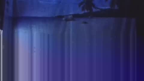 Snapshot of nightgoat666 chatting on 01/21/25, 03:37 OHB Old Horny Bastard online show from 01/21/25, 03:37