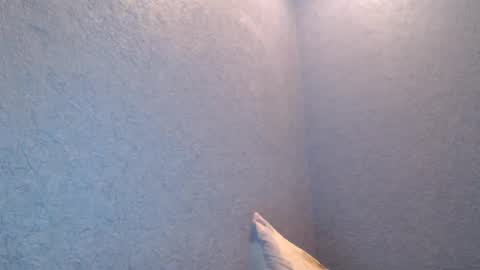 Snapshot of nikayshadow chatting on 02/05/25, 04:47 NikayShadow online show from 02/05/25, 04:47