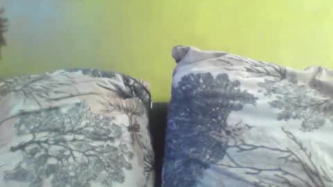 niki303424 online show from 03/04/26, 07:58