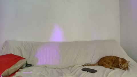 Snapshot of nikki_uwu chatting on 06/02/26, 08:00 nikki_uwu online show from 06/02/26, 08:00
