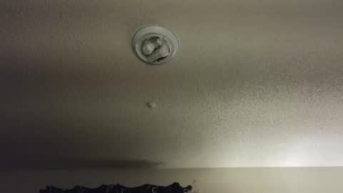 Nikki Mastersgirl1091 online show from 12/04/25, 02:15