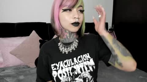 Nikki Ramone   online show from 01/23/25, 11:48