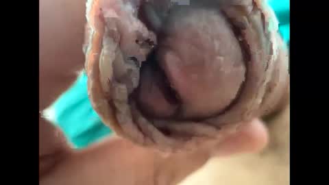 Nikolay online show from 04/22/26, 09:22