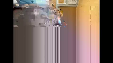 Nikolay online show from 05/12/26, 09:17
