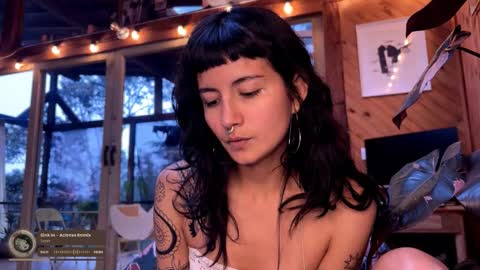 Nina.  online show from 02/22/26, 09:24