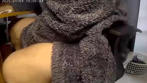 Snapshot of nineinchhard chatting on 01/04/25, 10:05 nineinchhard online show from 01/04/25, 10:05