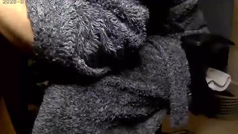 Snapshot of nineinchhard chatting on 01/06/25, 06:47 nineinchhard online show from 01/06/25, 06:47