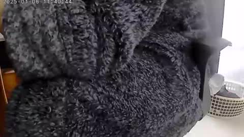 Snapshot of nineinchhard chatting on 01/06/25, 11:40 nineinchhard online show from 01/06/25, 11:40