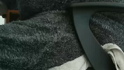 Snapshot of nineinchhard chatting on 09/23/25, 09:56 nineinchhard online show from 09/23/25, 09:56