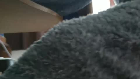 Snapshot of nineinchhard chatting on 10/20/25, 09:43 nineinchhard online show from 10/20/25, 09:43