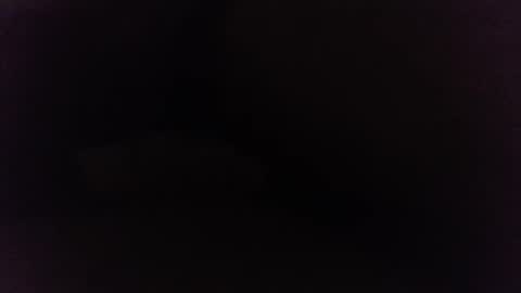 Ninjadance online show from 12/27/24, 10:23