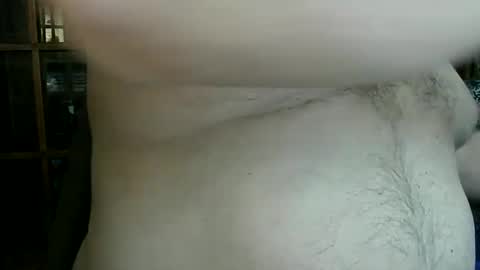 Nip Fun Bear online show from 01/30/25, 10:19