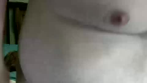 Nip Fun Bear online show from 10/16/25, 11:17