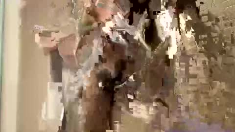 nnm110 online show from 02/09/25, 09:37