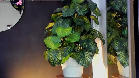 Noah  online show from 03/20/26, 03:22