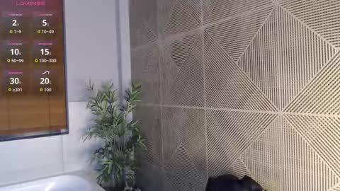 noah_dupont_ online show from 02/22/26, 11:53