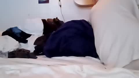 Noah Wesley online show from 01/18/25, 02:12