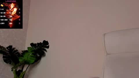 Noah online show from 12/30/24, 06:27