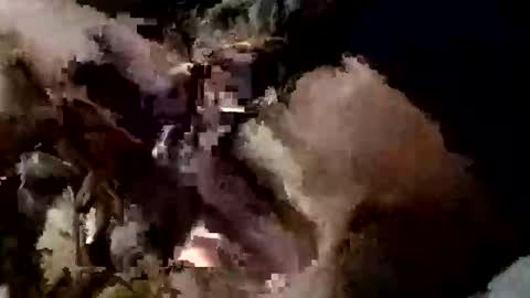 Snapshot of nocturnus1980 chatting on 09/10/25, 05:40 nocturnus1980 online show from 09/10/25, 05:40